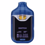 boutiq switch review