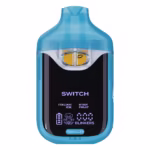 boutiq switch 2g disposable