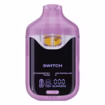 boutiq switch disposable review