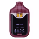 boutiq switch instructions